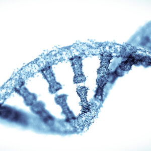 DNA agin mechanism