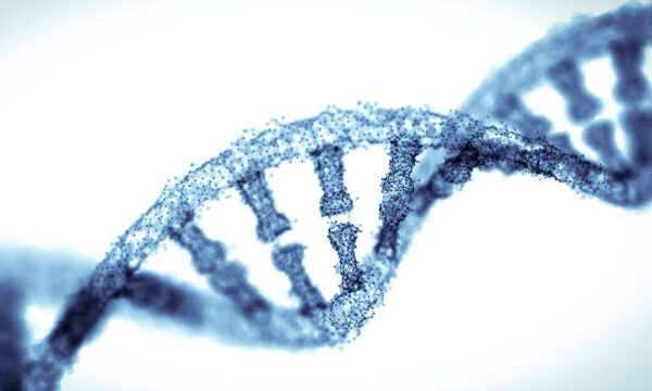 DNA agin mechanism